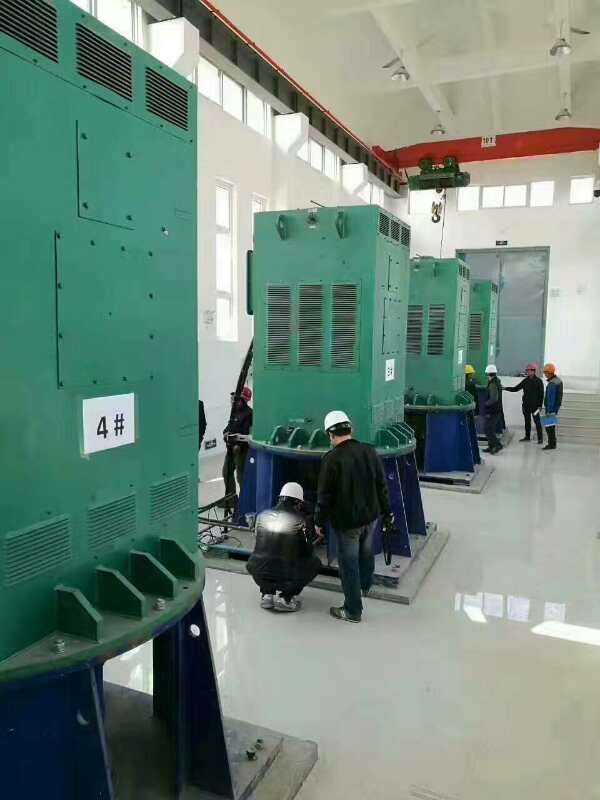 巴青某污水处理厂使用我厂的立式高压电机安装现场